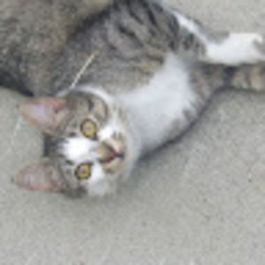 Meet your Posher, Jackie